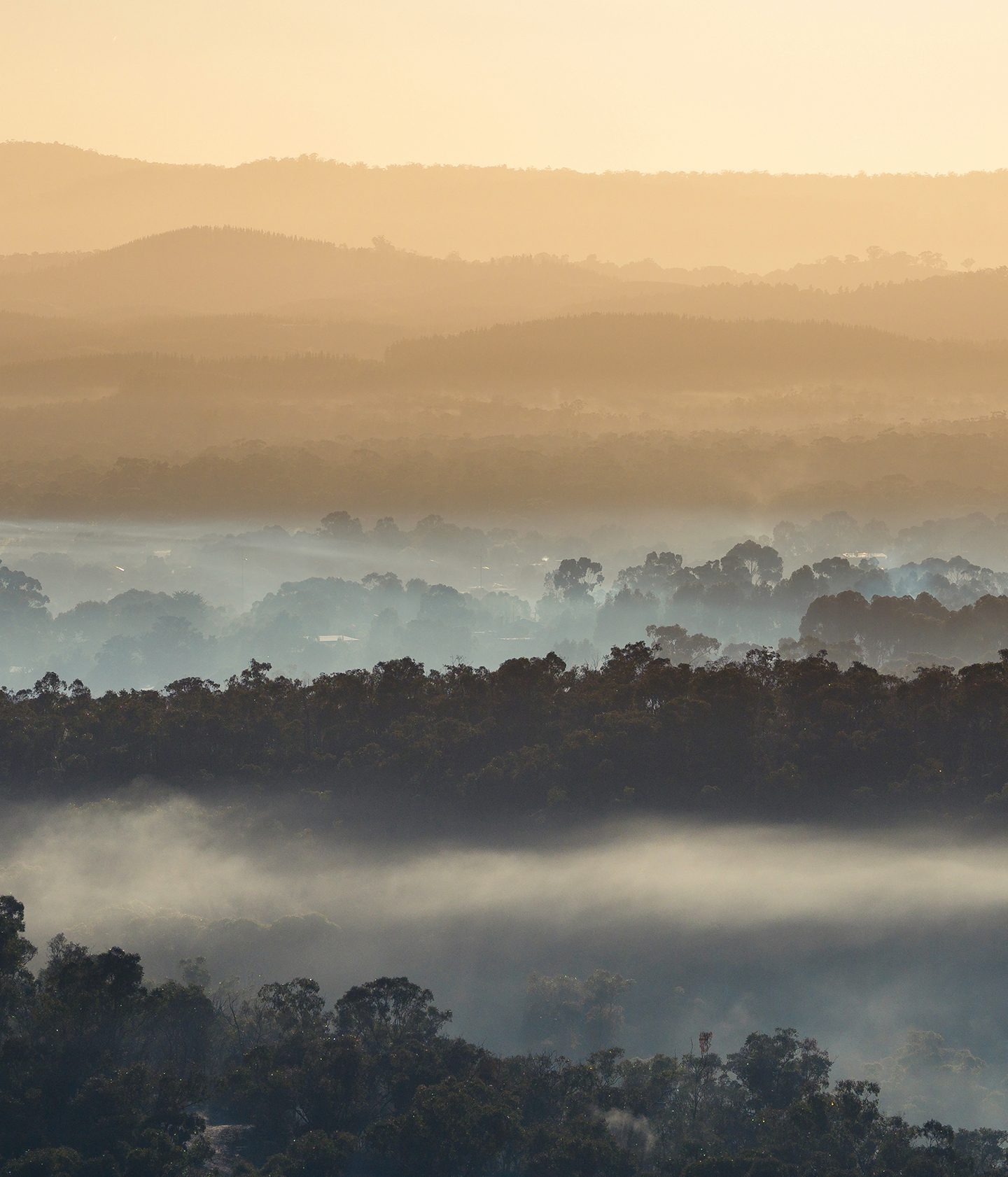 Ellersvale Land For Sale